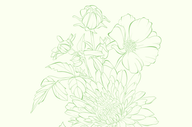 Zakażenia układu moczowo-płciowego – nowe wytyczne, stare błędy, rozsądne rozwiązania