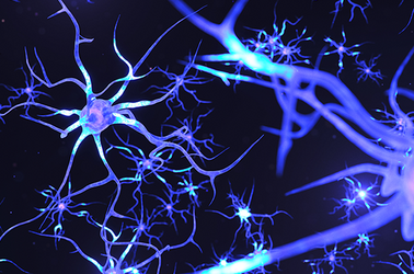 Leki ratunkowe w padaczce dorosłych. Postępowanie kliniczne. Część 2