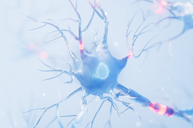 Tranzycja pacjenta z padaczką lekooporną – współpraca neurologów dziecięcych i neurologów dorosłych