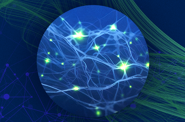 Suplementacja jako wsparcie leczenia zasadniczego: potencjalne mechanizmy stymulowania układu nerwowego – od teorii do praktyki