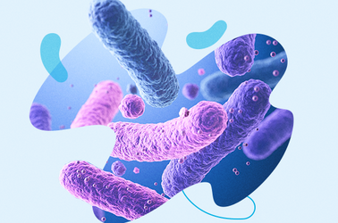 Rola LGG w odporności – właściwy wybór preparatu i rola lekarza w rekomendacji
